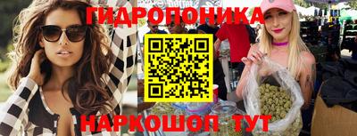 гидропоника Гудермес