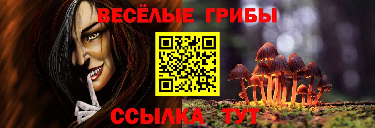 Галлюциногенные грибы ЛСД  Вход с VPN  Зеленогорск  Псилоцибиновые грибы Psilocybine cubensis 